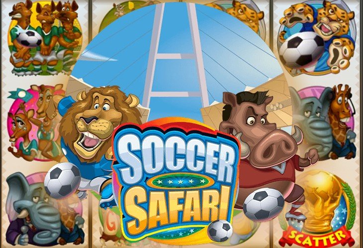 Pinco Soccer Safari